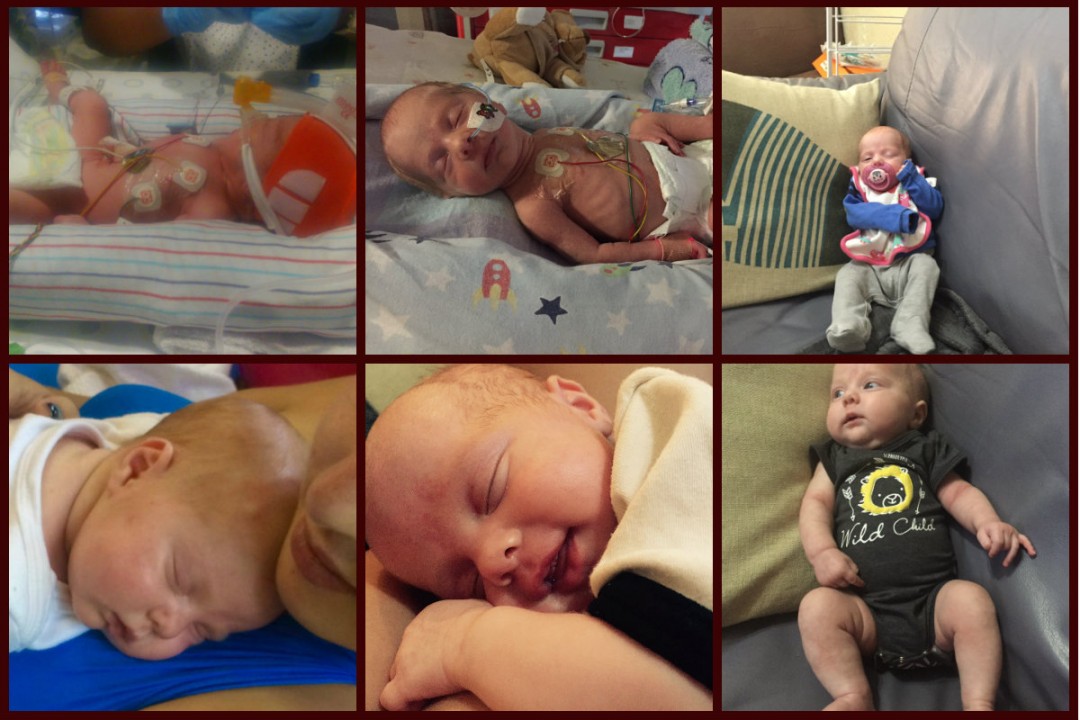 Harley 3 months collage